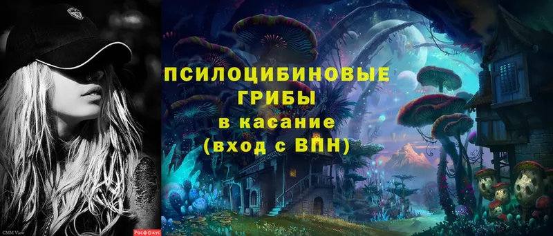 mega ССЫЛКА  Малая Вишера  Галлюциногенные грибы Psilocybine cubensis 